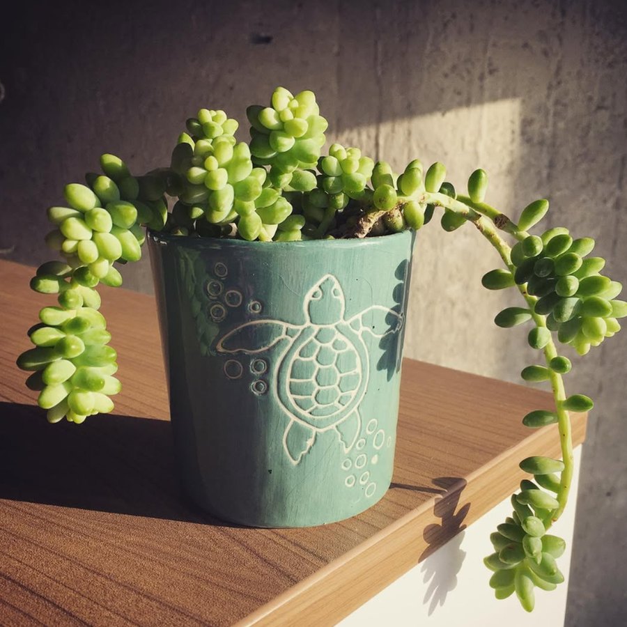 Sea Turtle Planter